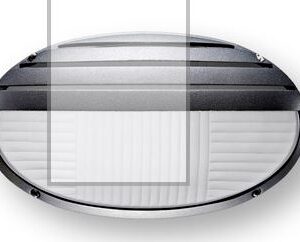 Tortuga Oval Ely con Grilla Negra