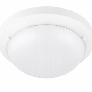 Tortuga Redonda E27 25 cm Blanca