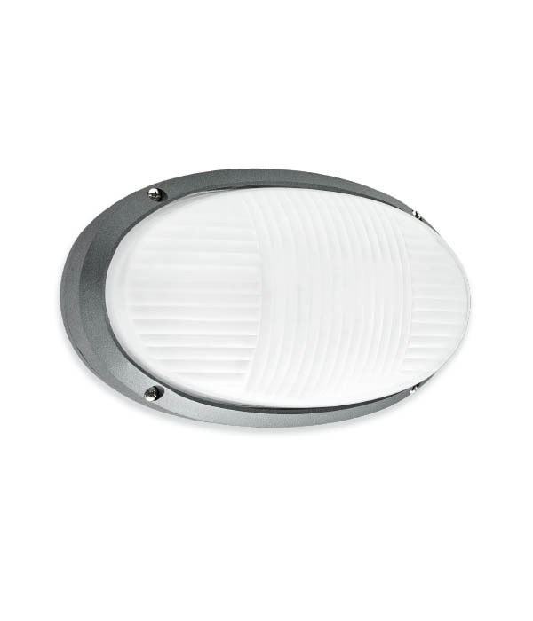Tortuga Oval Ely con Aro Gris Plata