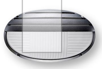Tortuga Oval Ely con Grilla Negra