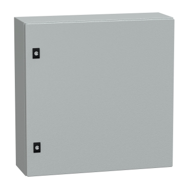 Gabinete Schneider Electric CRN 600x600x200mm con Placa y Riel